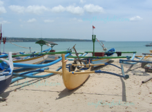 Bali Sailing Boat